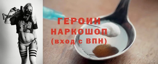 индика Богданович